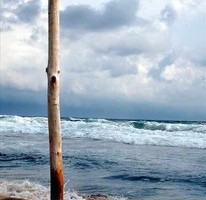 Явор Стефанов фотограф