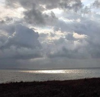 Явор Стефанов фотограф