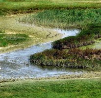 Явор Стефанов фотограф