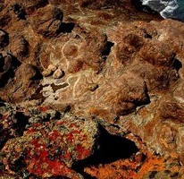 Явор Стефанов фотограф