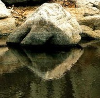 Явор Стефанов фотограф