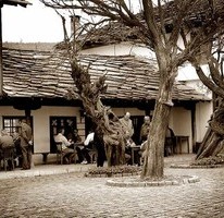 Явор Стефанов фотограф