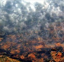 Явор Стефанов фотограф