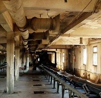 Явор Стефанов фотограф