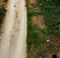 Явор Стефанов фотограф
